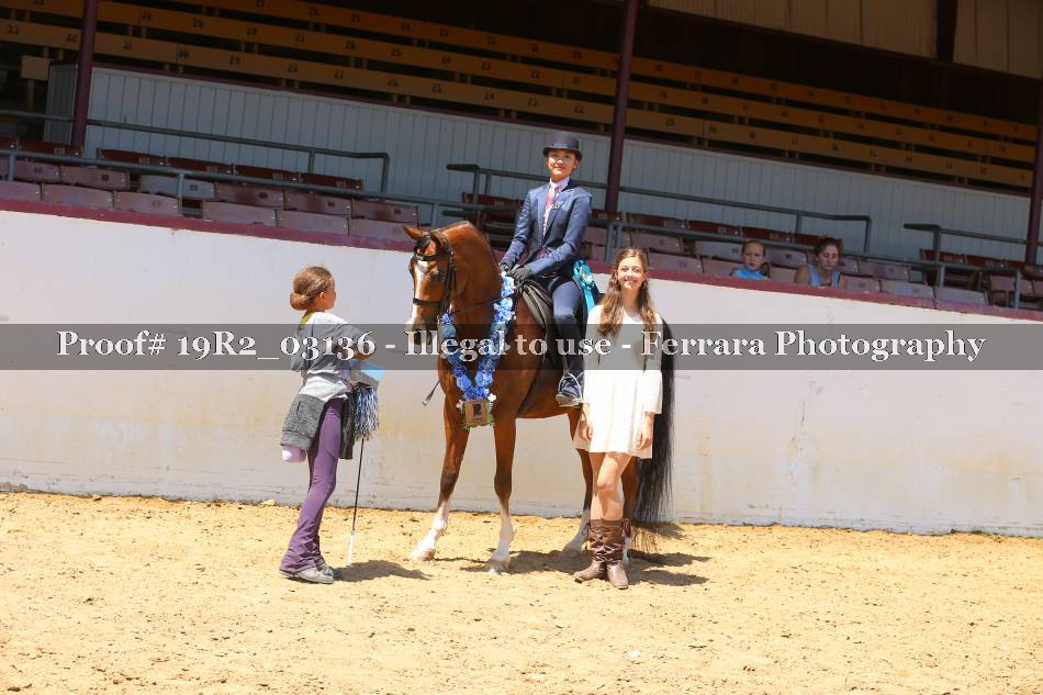 Proof 19R2_03136
