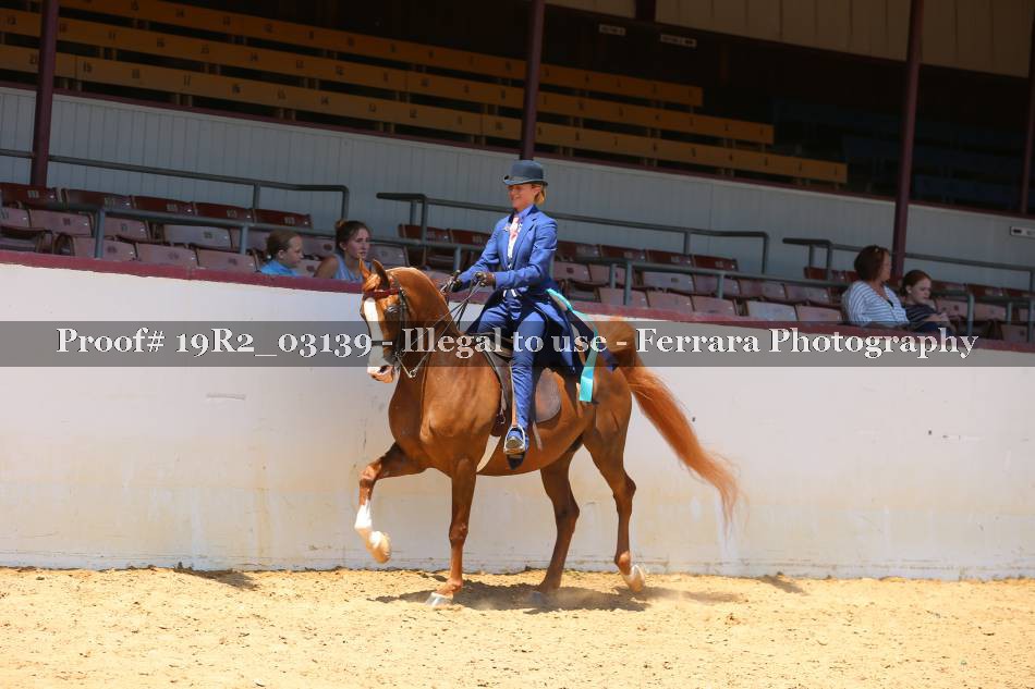 Proof 19R2_03139