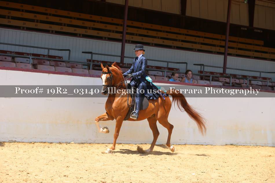 Proof 19R2_03140