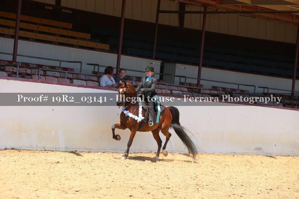 Proof 19R2_03141