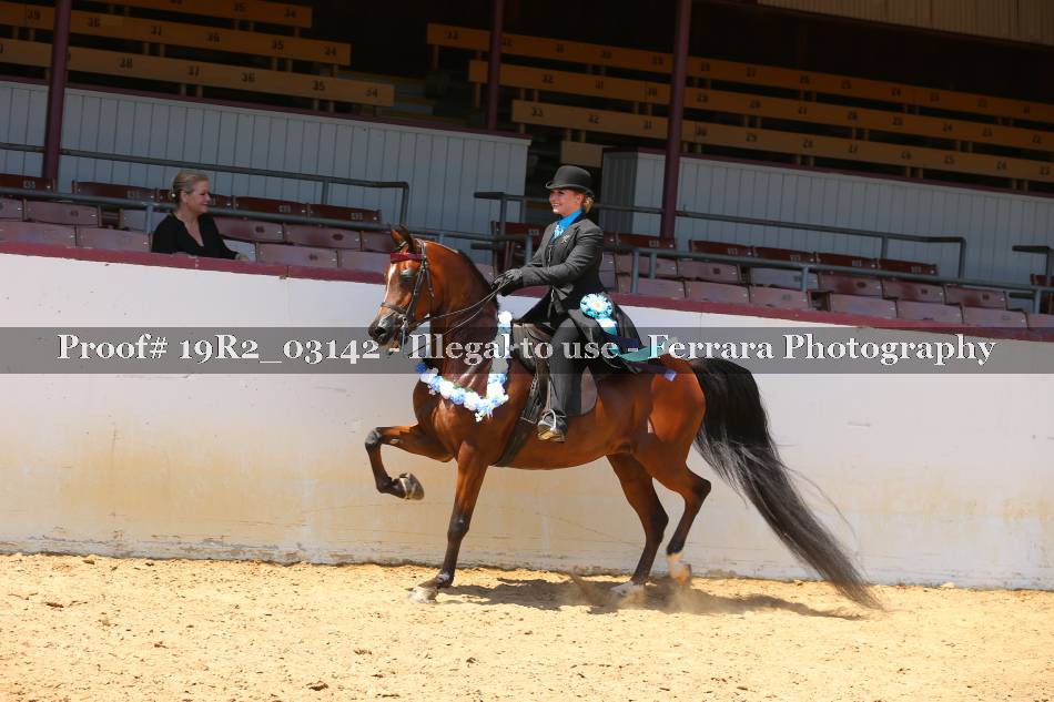 Proof 19R2_03142
