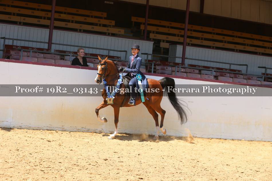 Proof 19R2_03143