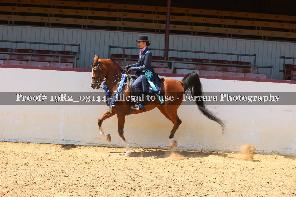 Proof 19R2_03144
