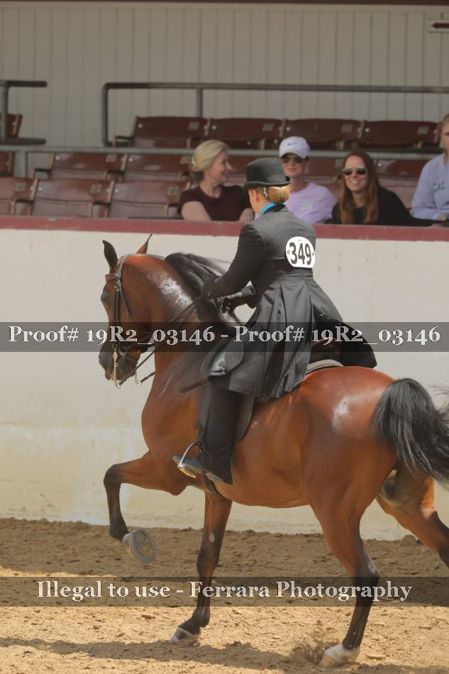 Proof 19R2_03146