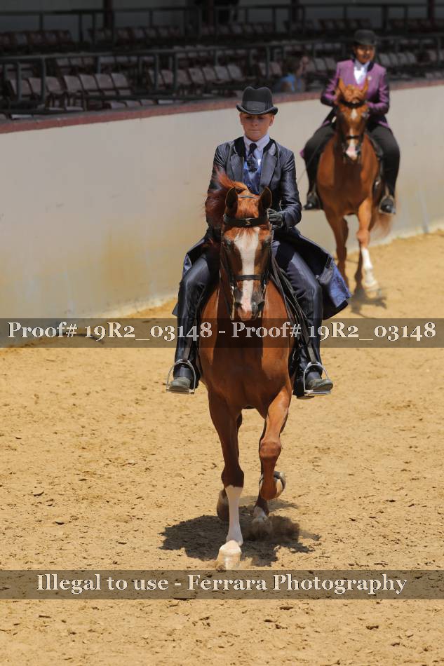 Proof 19R2_03148