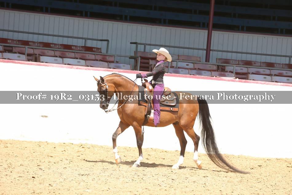 Proof 19R2_03153
