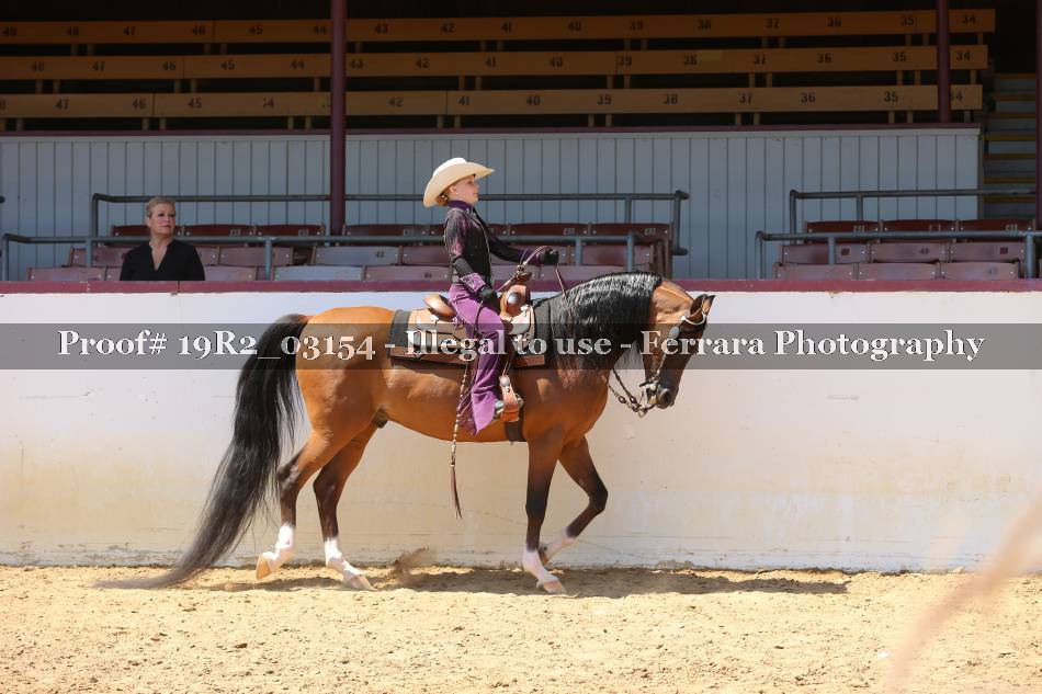 Proof 19R2_03154