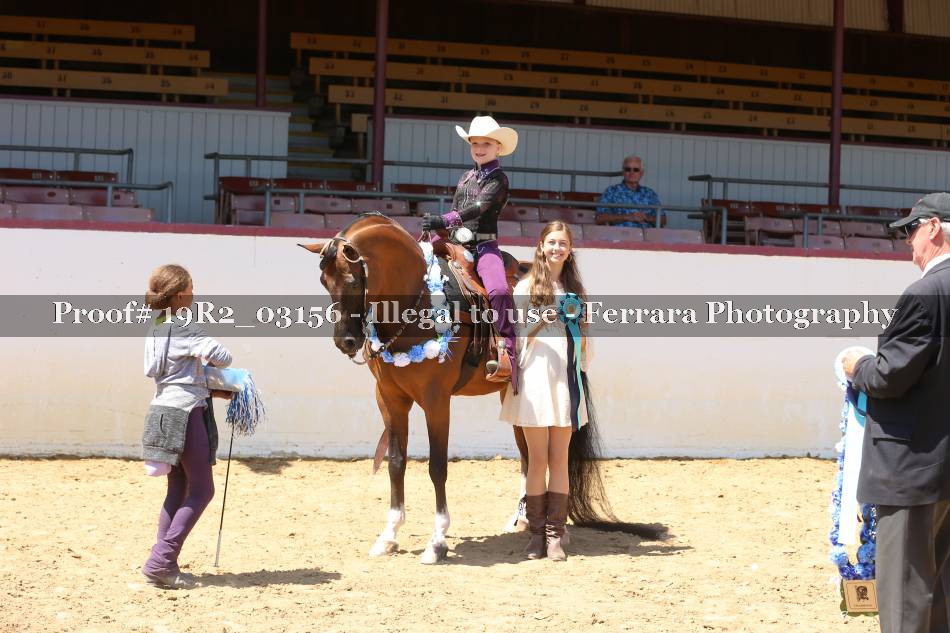 Proof 19R2_03156