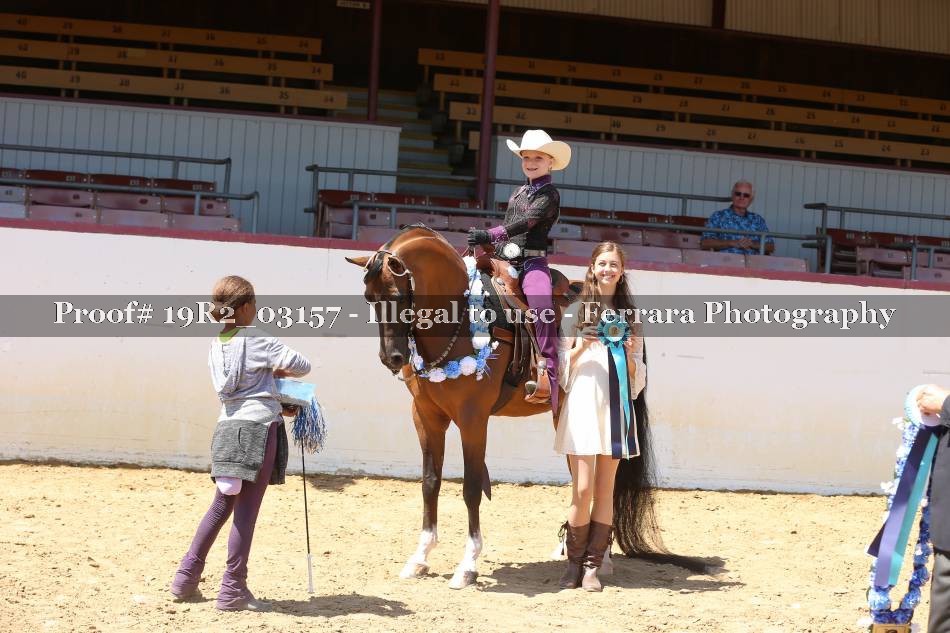 Proof 19R2_03157