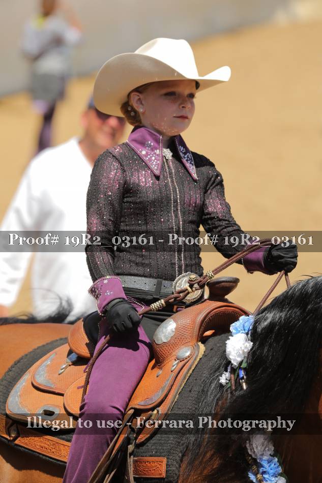 Proof 19R2_03161