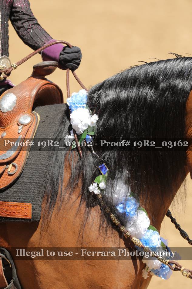 Proof 19R2_03162