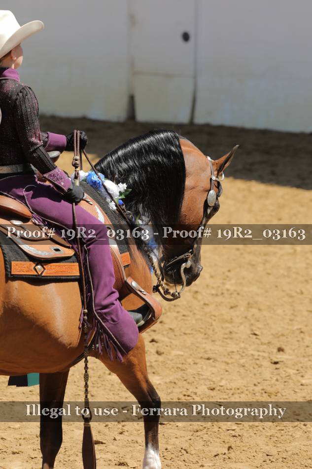 Proof 19R2_03163
