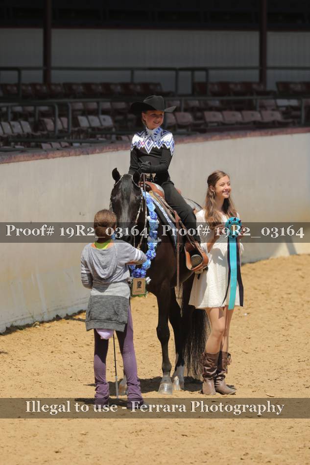 Proof 19R2_03164