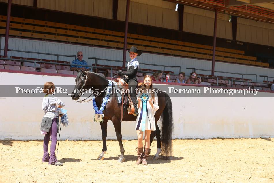 Proof 19R2_03165