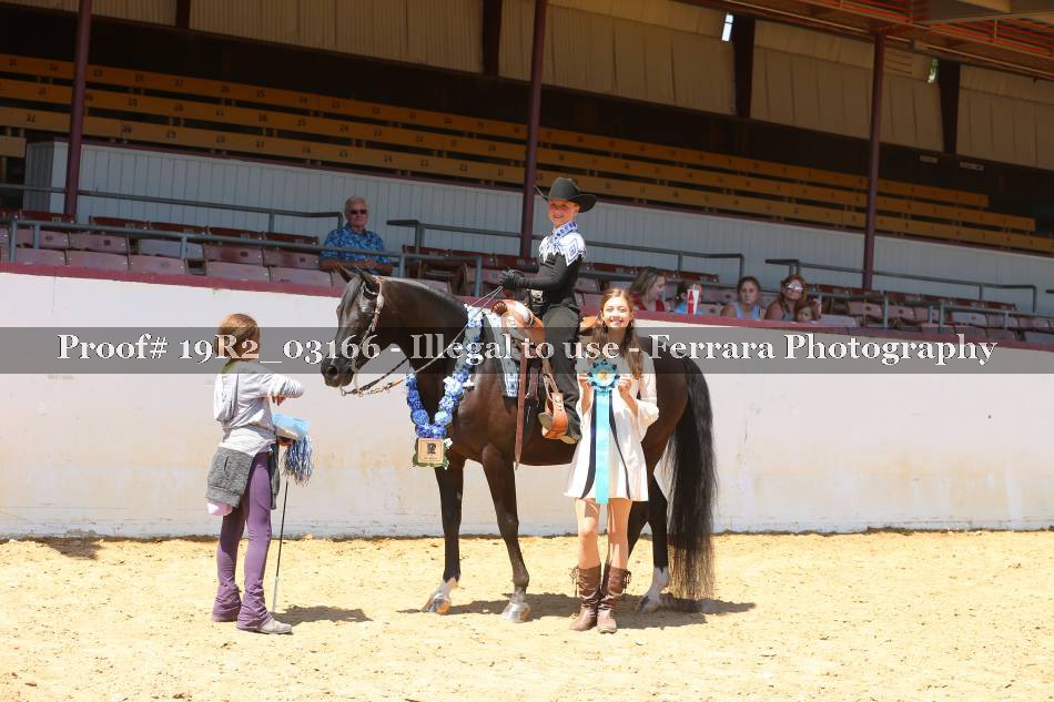 Proof 19R2_03166