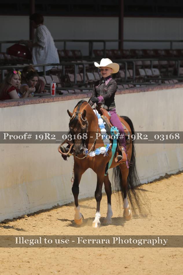 Proof 19R2_03168