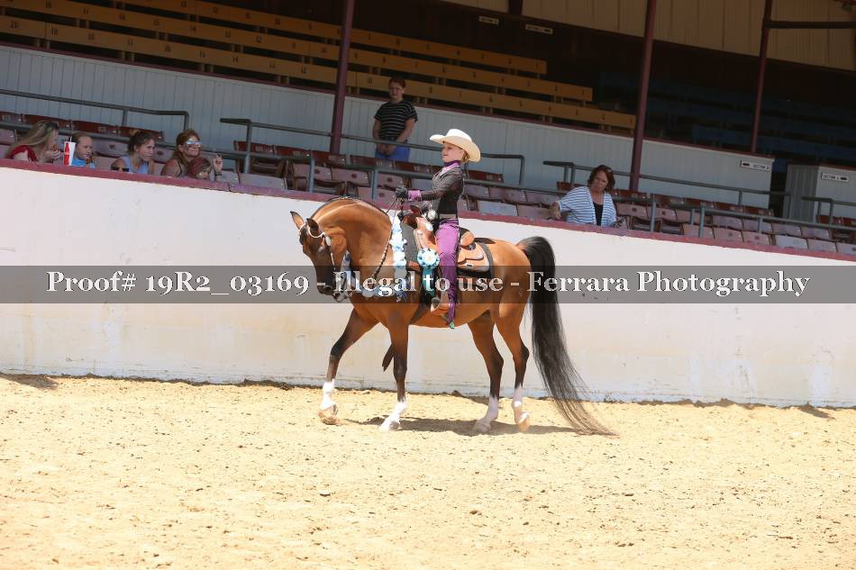 Proof 19R2_03169