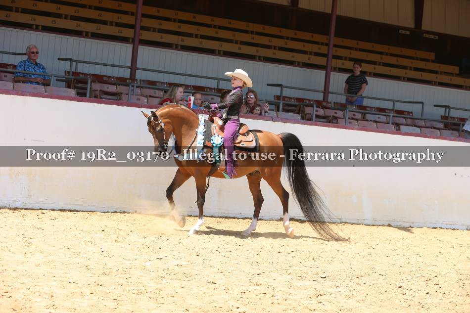 Proof 19R2_03170