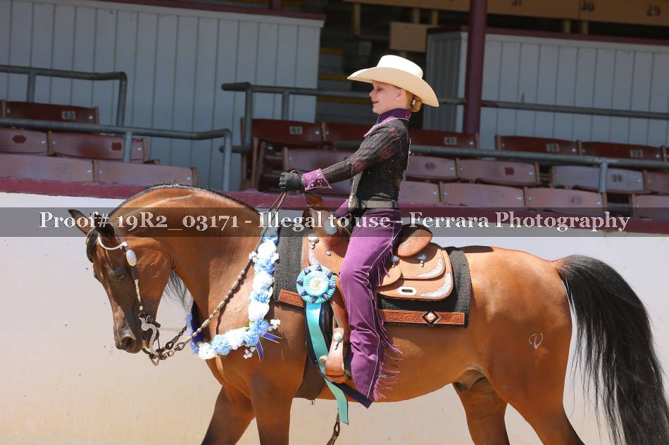 Proof 19R2_03171