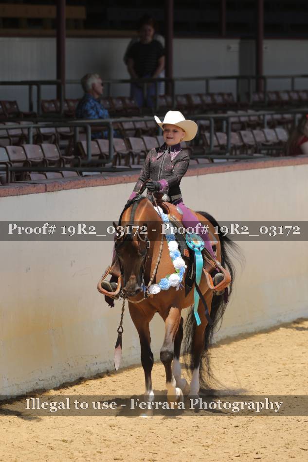 Proof 19R2_03172