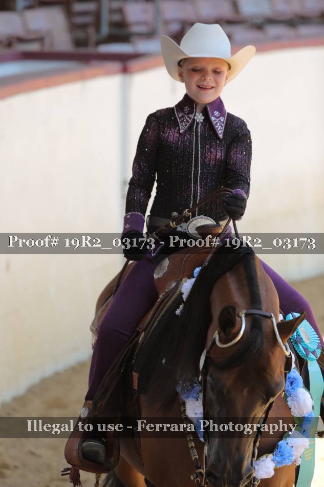 Proof 19R2_03173