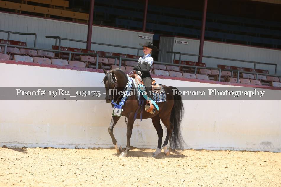 Proof 19R2_03175