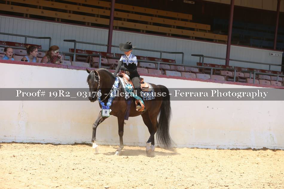 Proof 19R2_03176