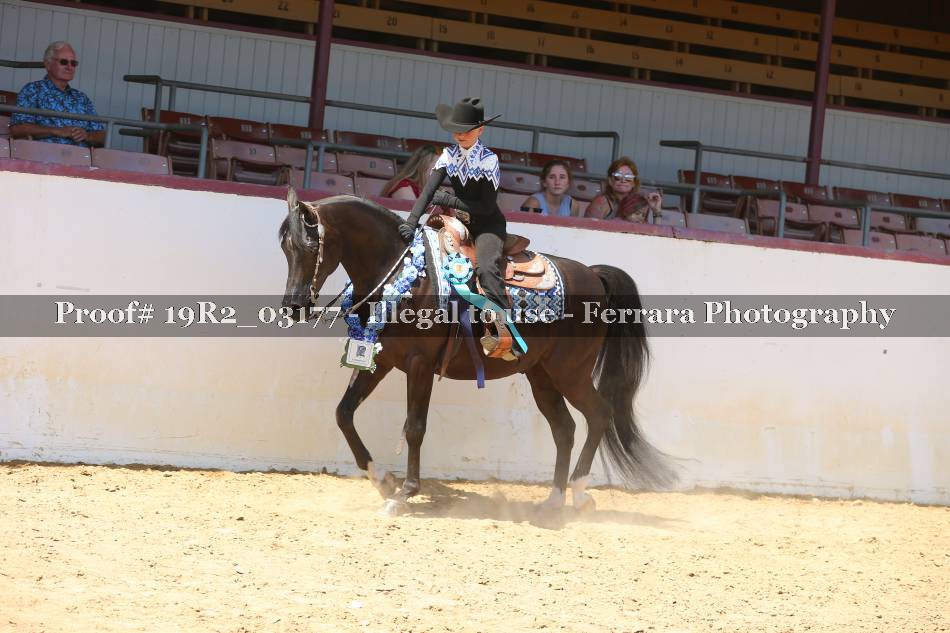 Proof 19R2_03177