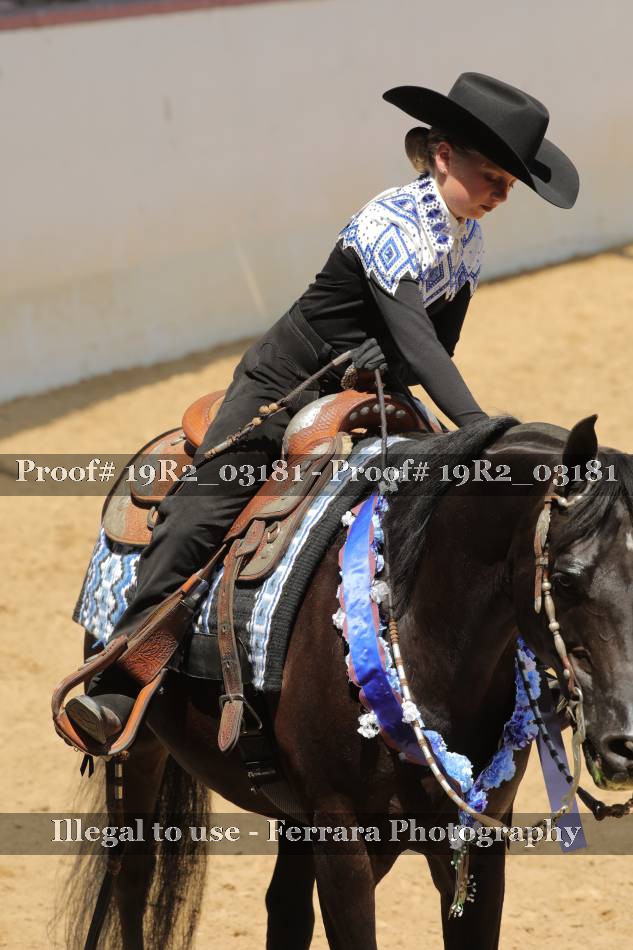 Proof 19R2_03181