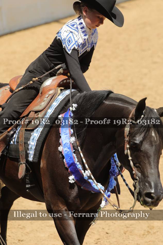 Proof 19R2_03182