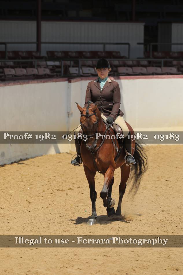 Proof 19R2_03183