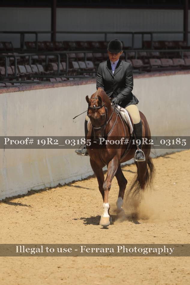 Proof 19R2_03185