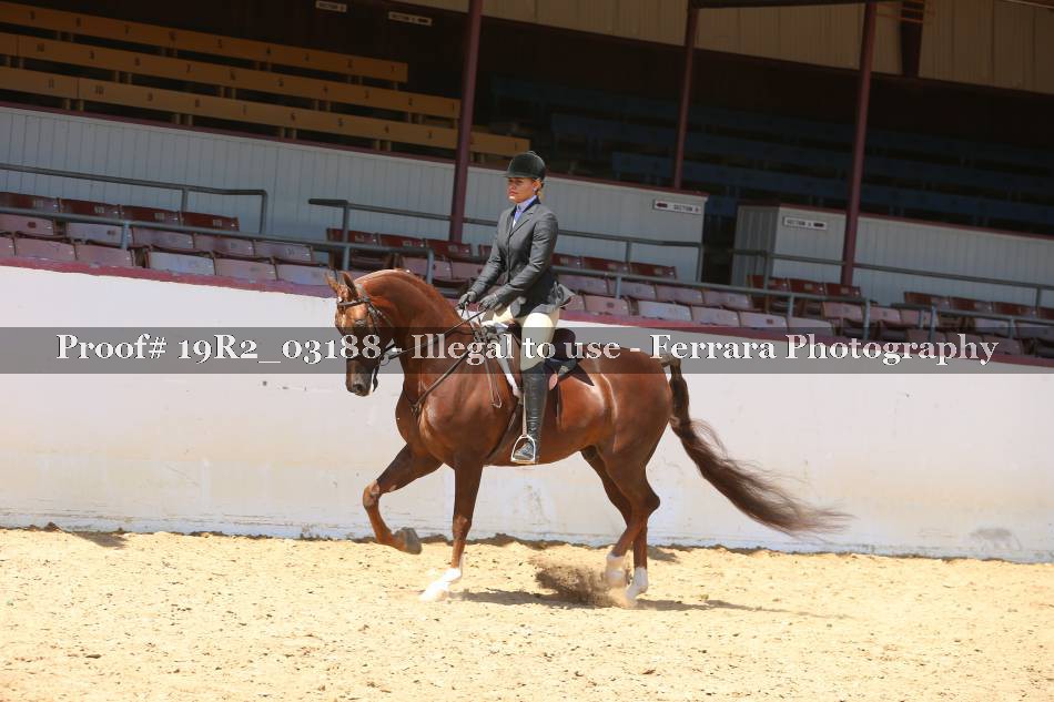 Proof 19R2_03188