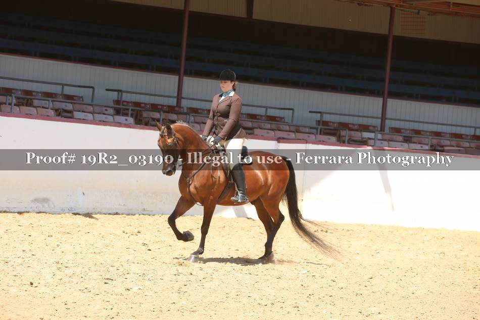 Proof 19R2_03190