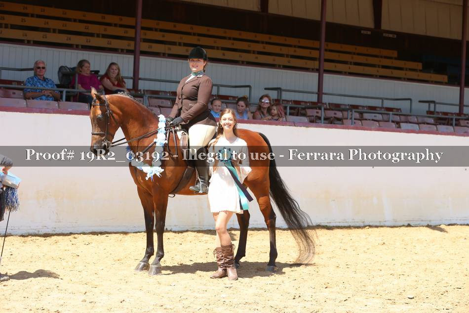 Proof 19R2_03192
