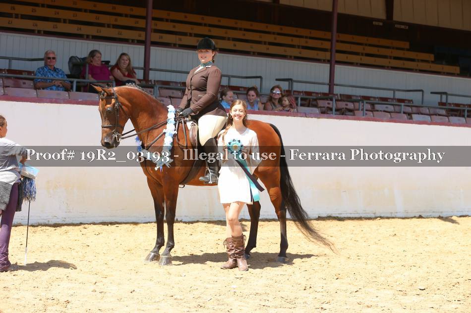 Proof 19R2_03193