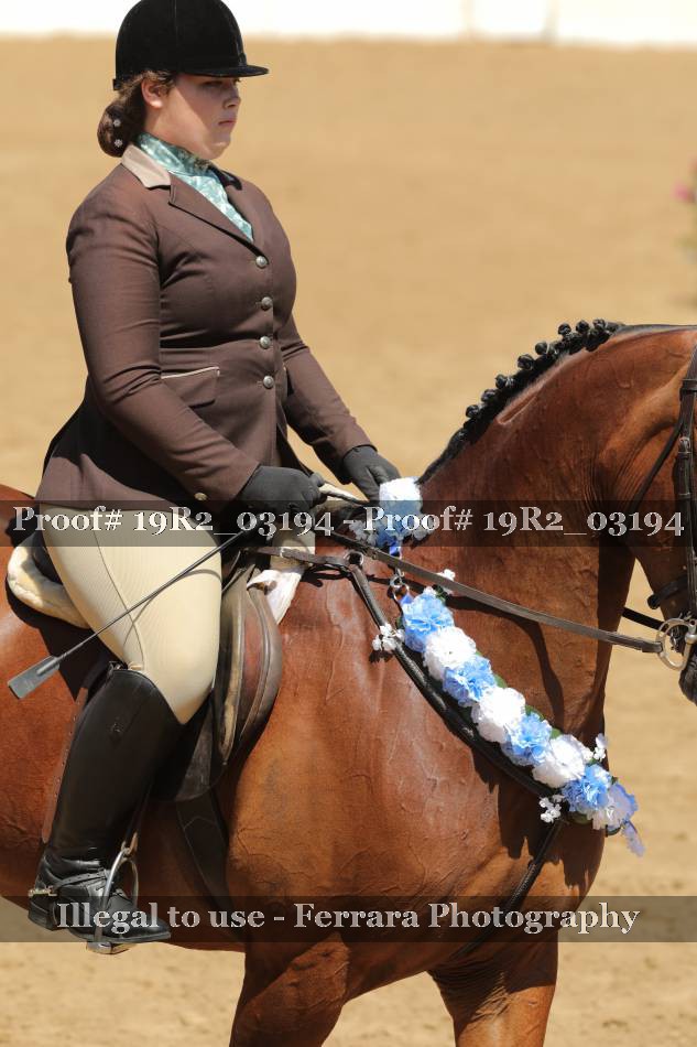Proof 19R2_03194