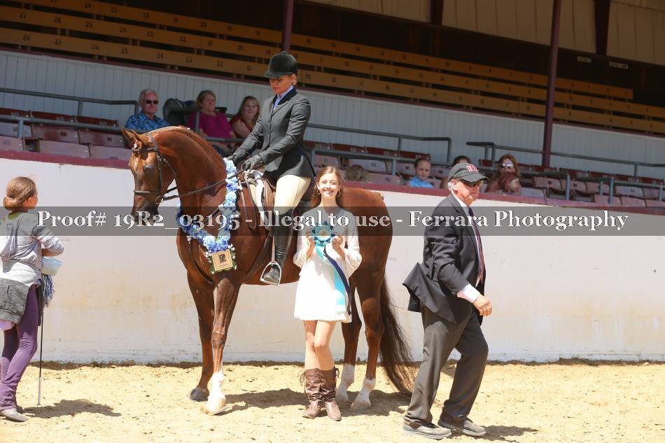 Proof 19R2_03195
