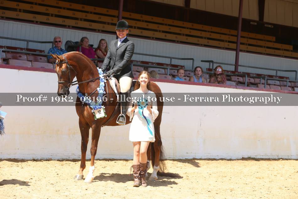 Proof 19R2_03196