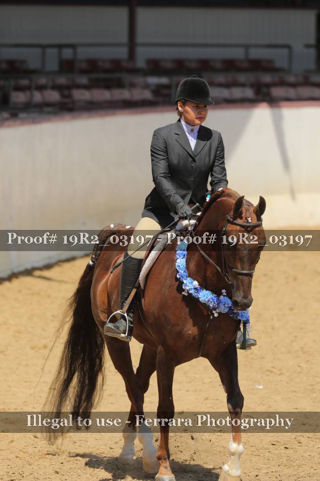 Proof 19R2_03197