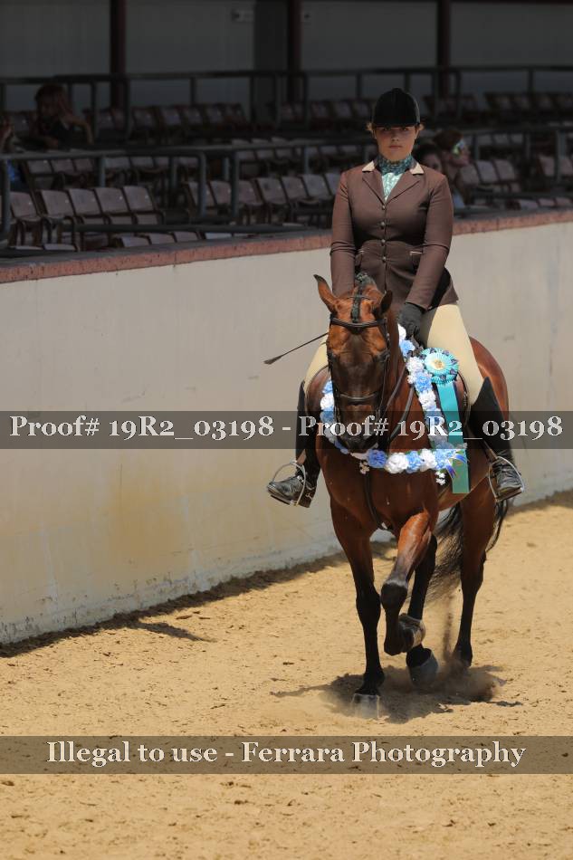 Proof 19R2_03198