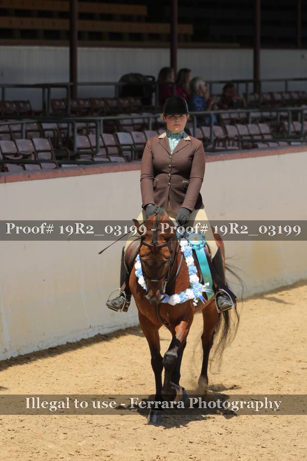 Proof 19R2_03199