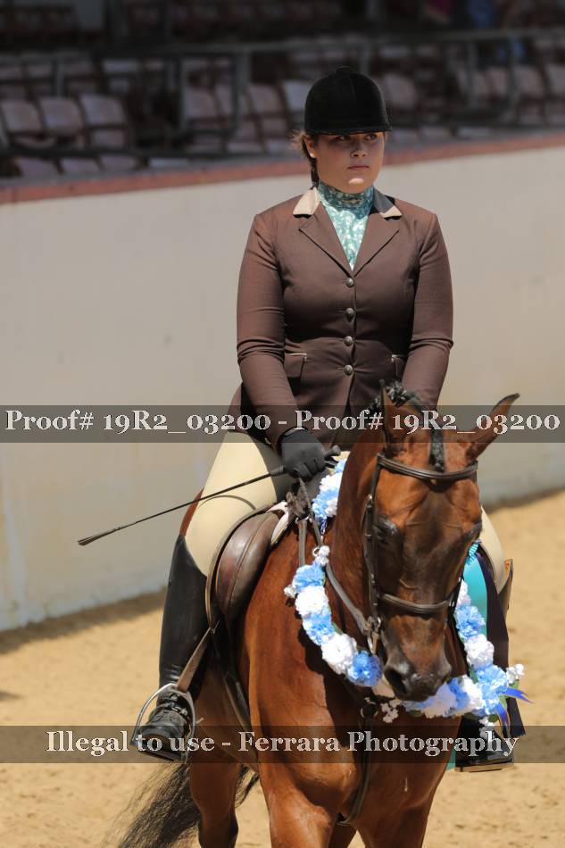 Proof 19R2_03200