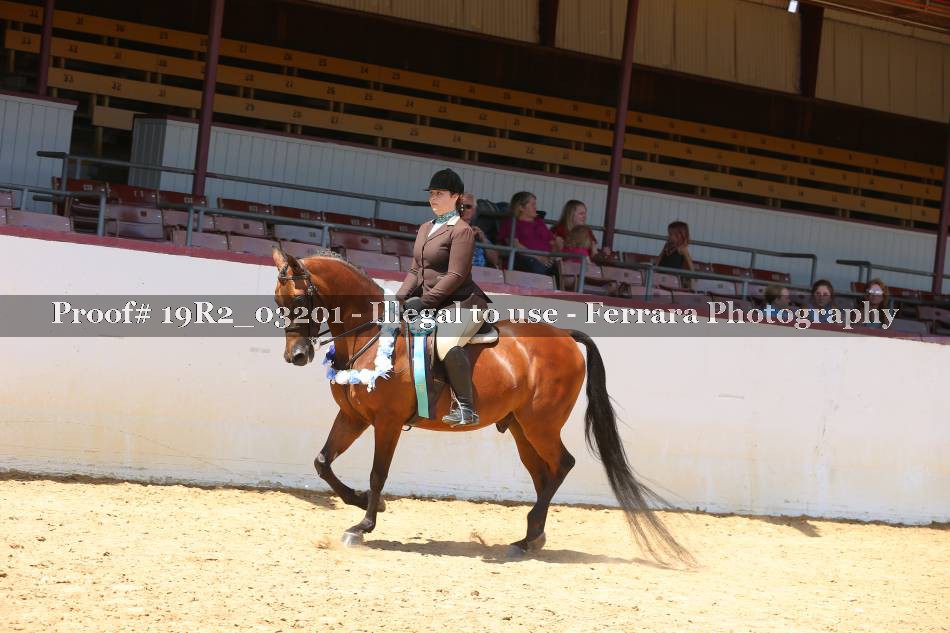 Proof 19R2_03201