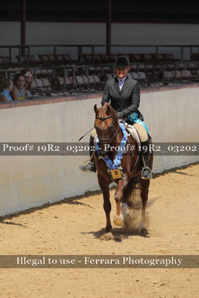 Proof 19R2_03202