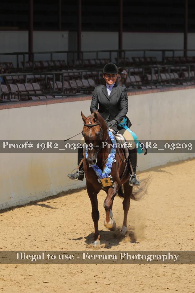 Proof 19R2_03203