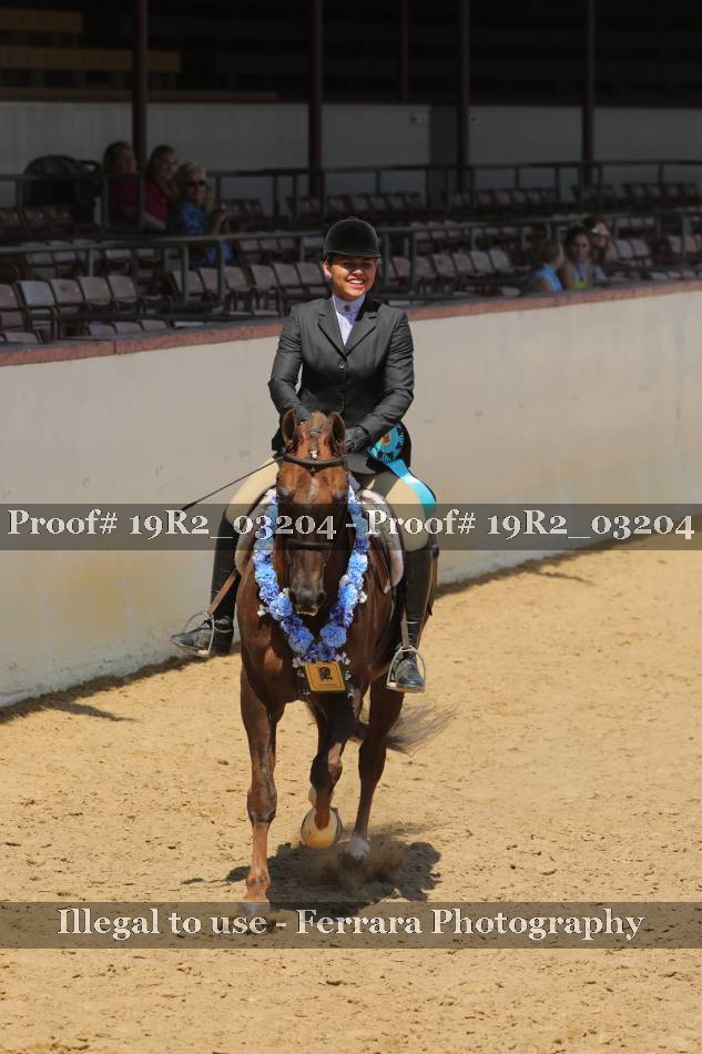 Proof 19R2_03204