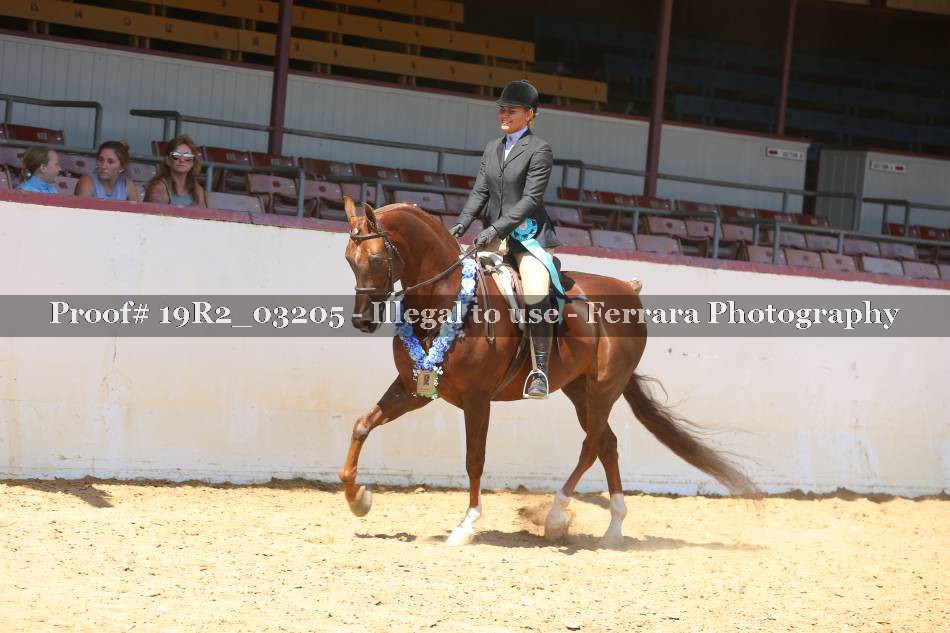 Proof 19R2_03205