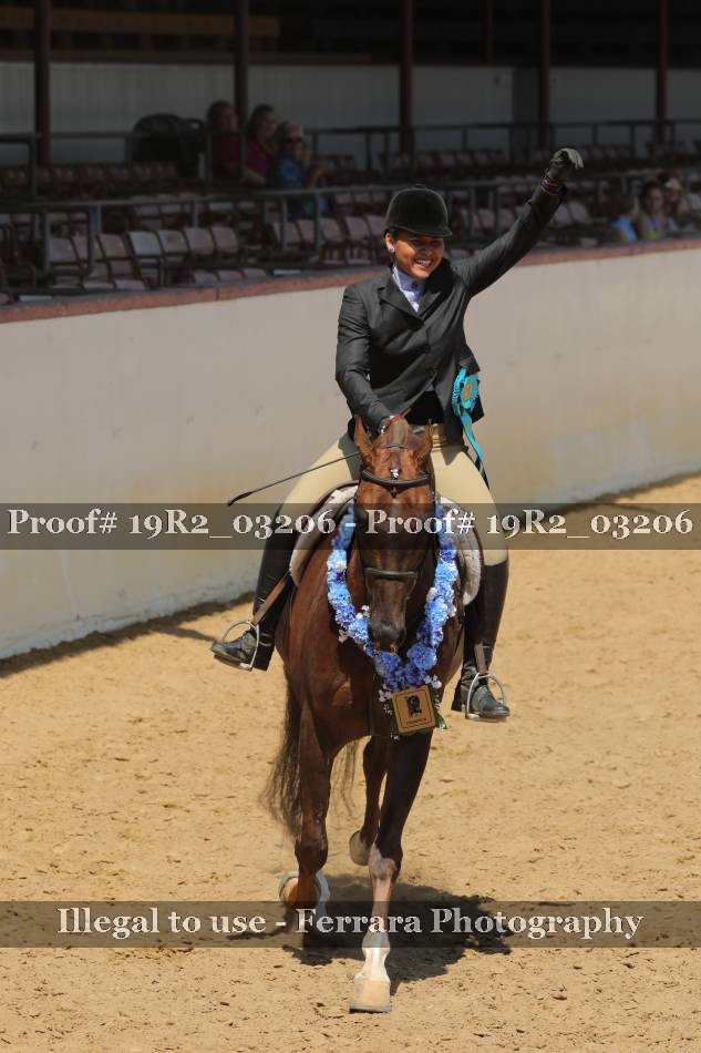 Proof 19R2_03206