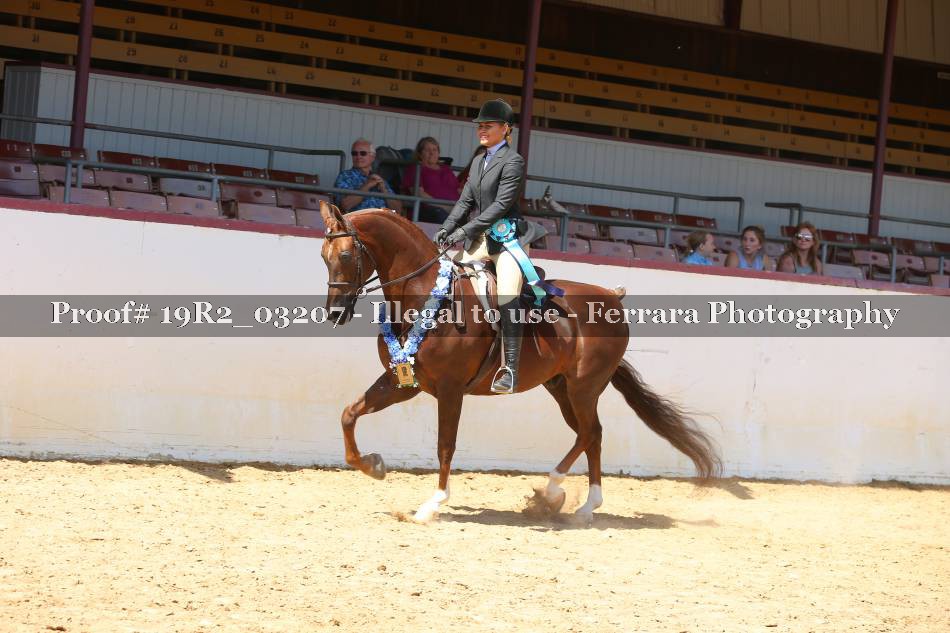 Proof 19R2_03207